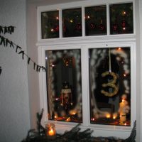 Inklusives Lama-Erlebnis im Advent