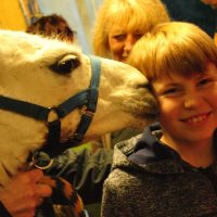 Unabhängige Beratung nun auch in allen Verbandsgemeinden