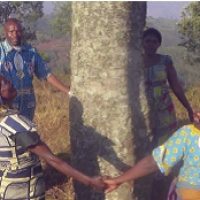 Afrika: Verantwortung über Grenzen hinweg