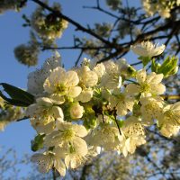 MissionInkusion – Die Zukunft beginnt mit Dir