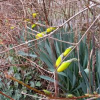 Über den Karfreitag hin zu Ostern…