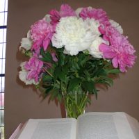 Pfingsten: Was ist da noch mal los???