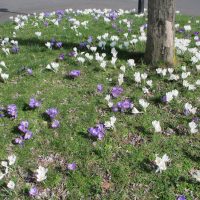 Vergessen wir das Gute und Schöne nicht!