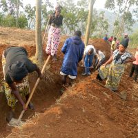 Bei „Manunga“ wird kräftig angepackt
