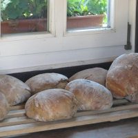 Danke sagen in Vielfalt – Gottesdienste zum Erntedankfest