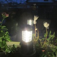  #Lichtfenster – Gedenken für die Toten der Pandemie