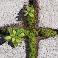 Karfreitag ist auch ein Versöhnungsfest