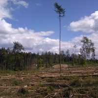 Earth Hour – Zeichen für den Klimaschutz