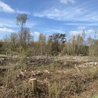 Schöpfungsbewahrung anpacken