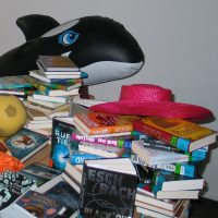 Ferienfreude mit Büchern gestartet