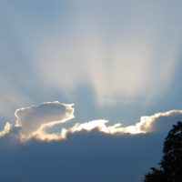 #unwetterklage: Ein digitaler Klageraum für Sorgen, Bitten, Trauer  