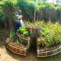 Freud und Leid in Muku