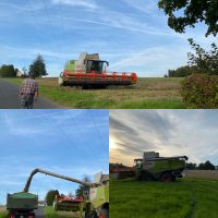 Gottes Schöpfung wird gefeiert